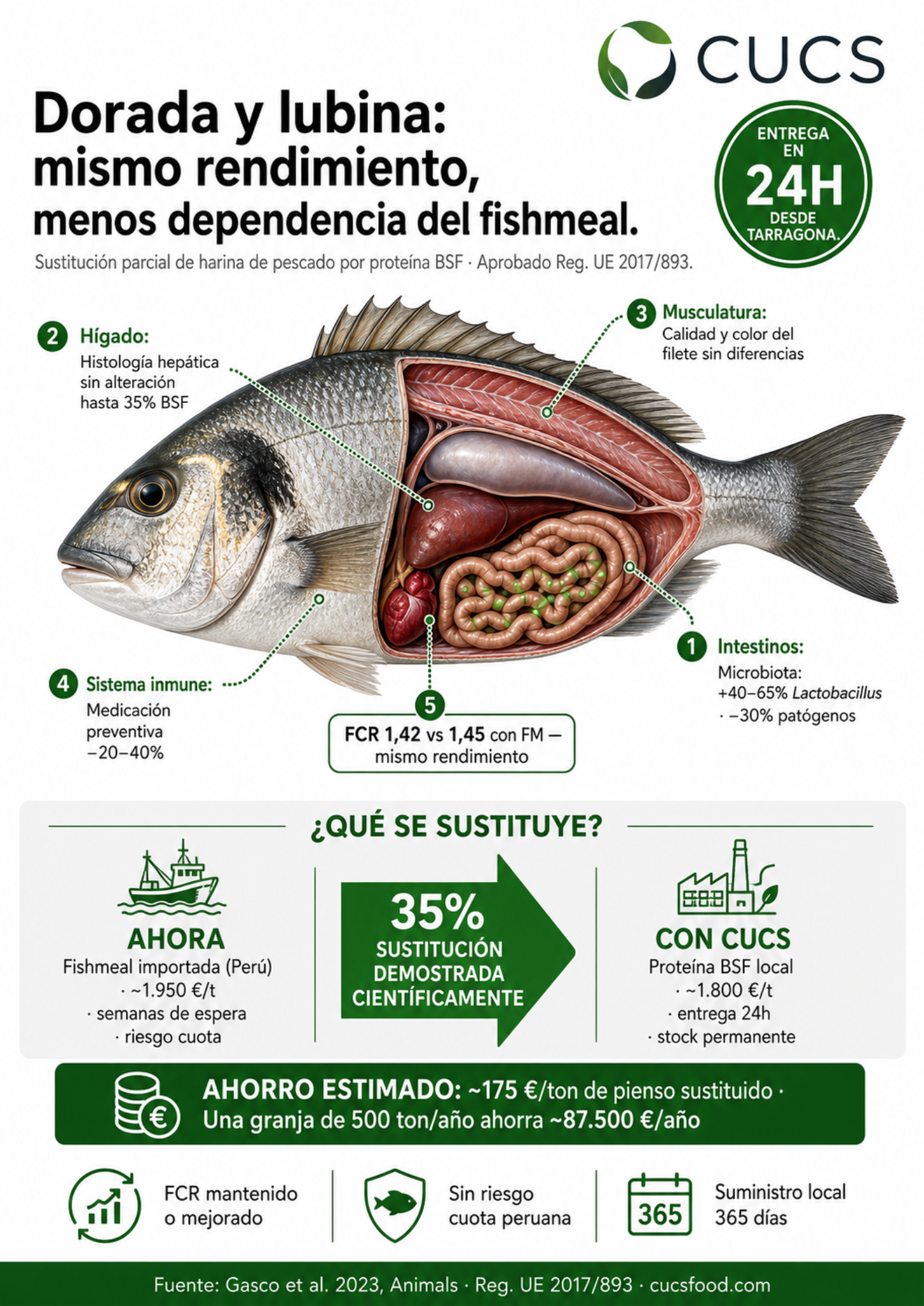 Infografía CUCS — Dorada y Lubina con proteína BSF: órganos, métricas y beneficios